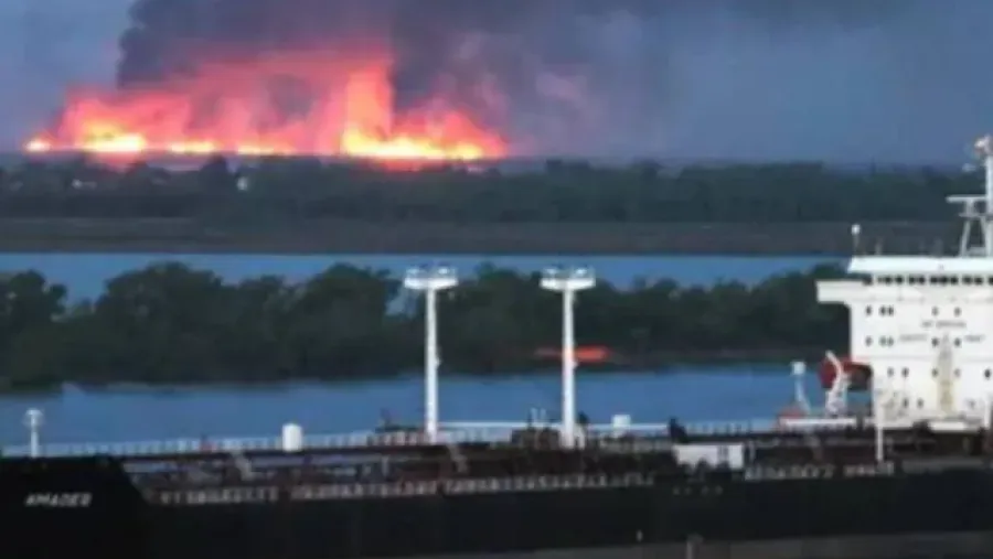 Incendios en el Delta: ratifican las penas a los apicultores, pero el caso será revisado por la Corte Policiales