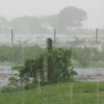 Alerta para el campo entrerriano: el otoño trae lluvias por encima de lo normal y riesgos para la cosecha