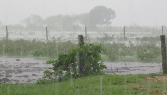 Alerta para el campo entrerriano: el otoño trae lluvias por encima de lo normal y riesgos para la cosecha Cazanoticias