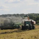 Alertan sobre la crítica situación del sector arrocero en la provincia