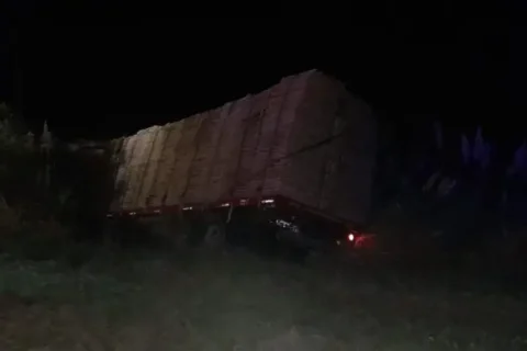 Un camión con maderas despistó en la Ruta 12 y terminó contra el alambrado