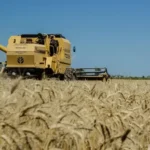 Productores entrerrianos tendrán “escaso margen de maniobra”, a pesar de la baja de retenciones al trigo