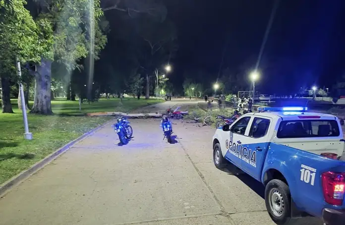 Policiales