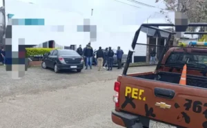 Policiales
