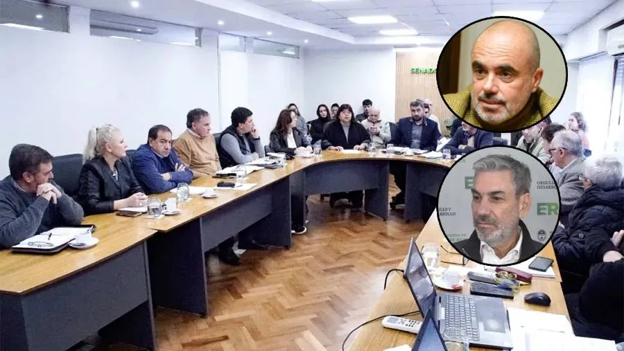 Bagnat y Boleas defenderán este miércoles en el Senado el proyecto de reforma previsional Ciudad