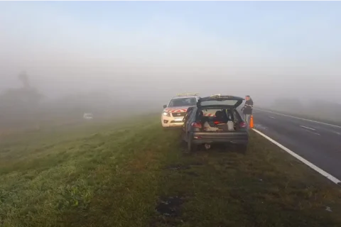 Accidente en el puente Victoria-Rosario: dos vehículos chocaron de frente entre la niebla