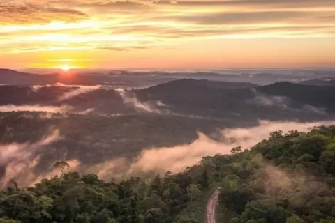 Alerta Misiones: la cara más extrema de la extranjerización de la tierra