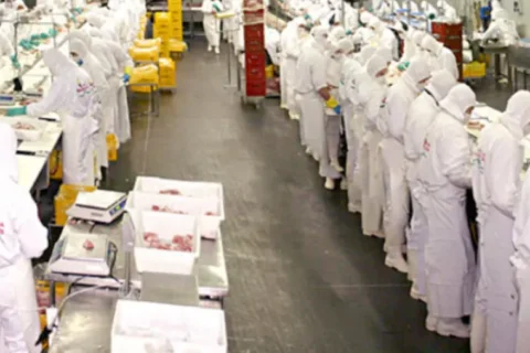 Los empleados de Granja Tres Arroyos continúan sin salarios y sin novedades de la empresa