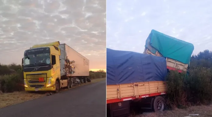 Chocaron dos camiones en la Ruta 6 y complicaron el tránsito Policiales