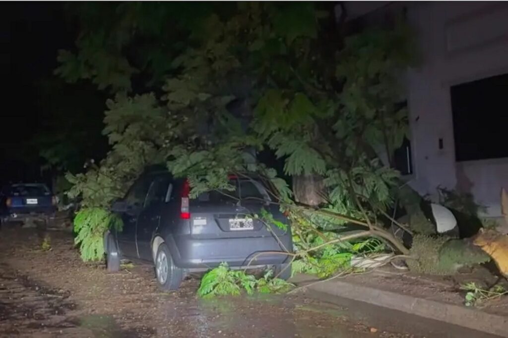 El gobierno provincial trabaja de manera coordinada para asistir a localidades afectadas por el temporal Ciudad
