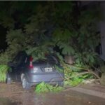 El gobierno provincial trabaja de manera coordinada para asistir a localidades afectadas por el temporal
