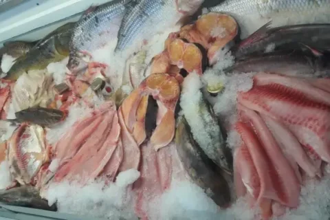 Suspenden a un frigorífico de pescado en Entre Ríos por incumplimientos ambientales