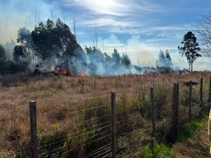 Incendio en el parque industrial de Mocoretá: trabajaron cuatro dotaciones Policiales