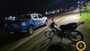 Policiales