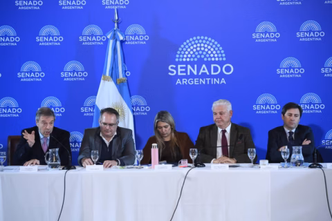 Senado: la Casa Rosada no quiere cambios en el RIGI, pero Bullrich avanzaría para lograr consensos