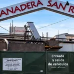 Argentina perdió más de 30.000 empresas desde diciembre de 2023: cuáles son los sectores más afectados
