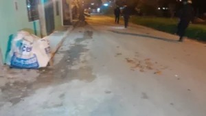 Policiales