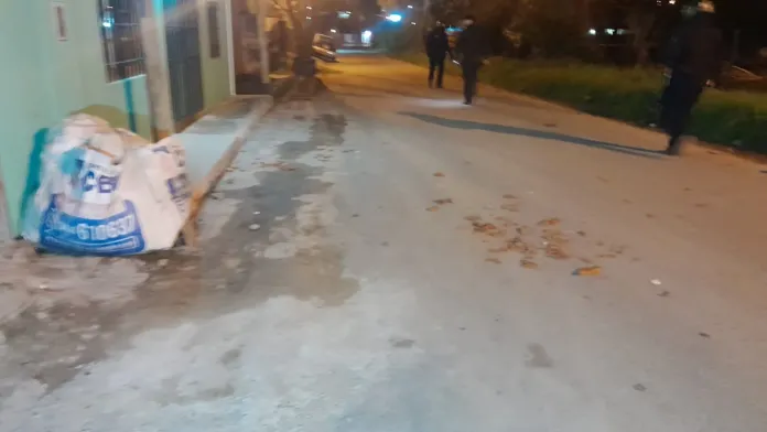 Policiales