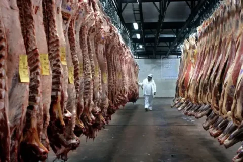 Exportaciones de carne vacuna crecieron 42% y ya generaron casi u$s2.800 millones en 2026