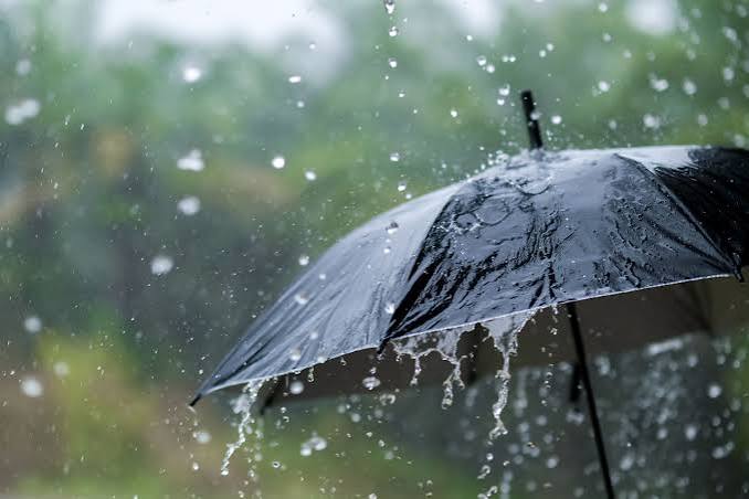 Pronostican abundantes lluvias en Entre Ríos: emiten alerta para miércoles y jueves Ciudad