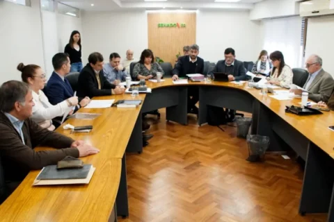 Los postulantes al Consejo General de Educación serán evaluados en audiencia pública
